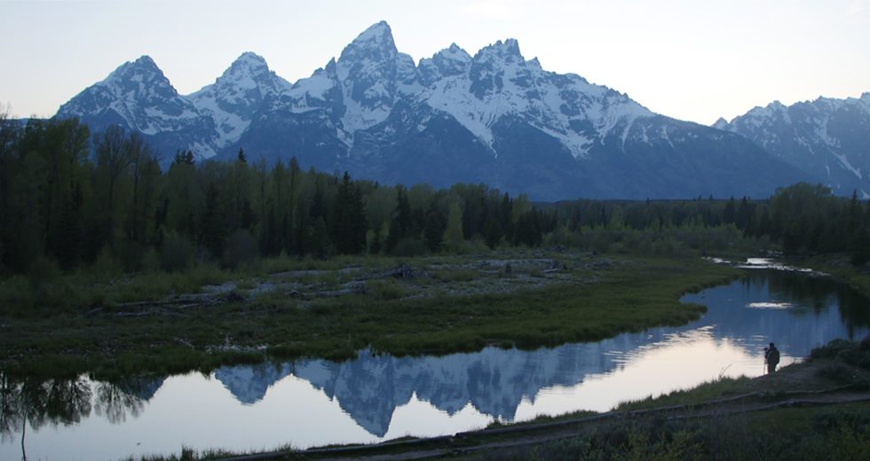 Life Stream Counseling